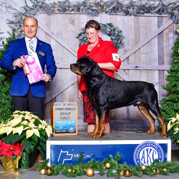 Meet your Posher, Anne - Picture 14 of 15